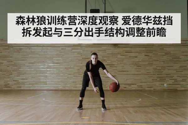 森林狼训练营深度观察 爱德华兹挡拆发起与三分出手结构调整前瞻