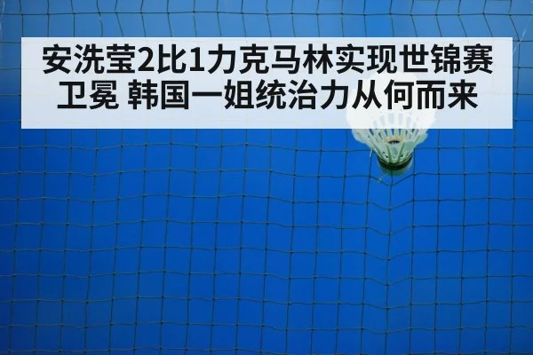badminton shuttlecock net action